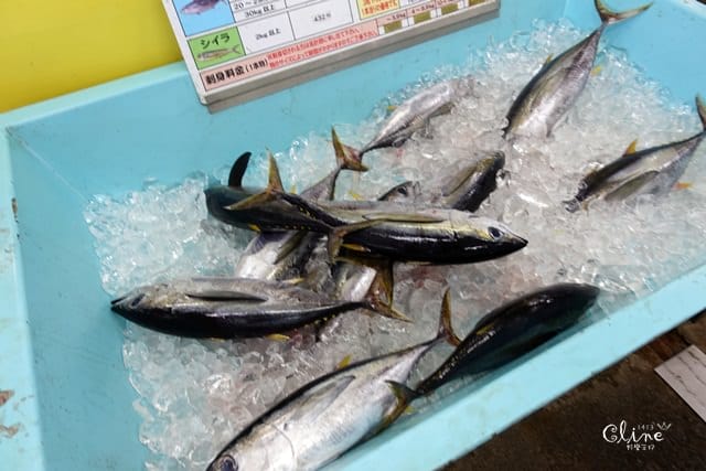 ▌2017沖繩自由行▌沖繩美食♥泡瀨漁港 パヤオ直売店 ♥必吃龍蝦海膽海鮮大餐