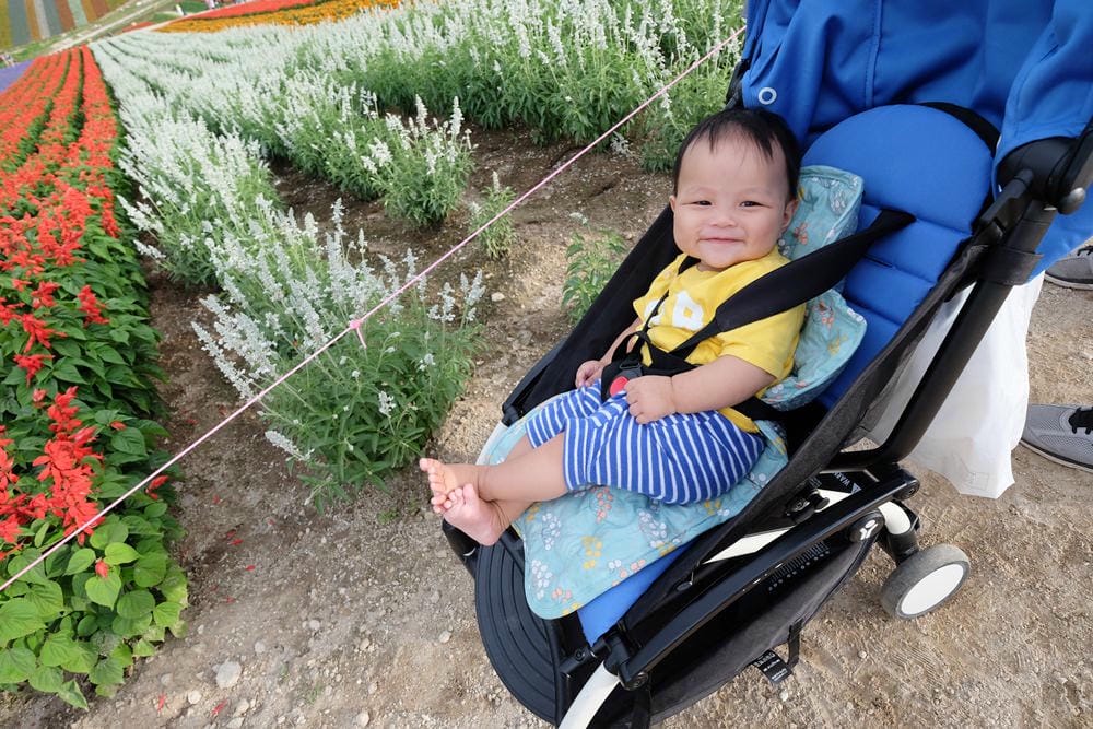 ▌已結團▌夏日涼感好物！韓國 JellySeat 多功能嬰兒涼感UP果凍涼墊X Jelly Pop超涼感果凍嬰幼兒枕