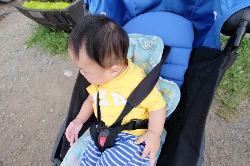 ▌已結團▌夏日涼感好物！韓國 JellySeat 多功能嬰兒涼感UP果凍涼墊X Jelly Pop超涼感果凍嬰幼兒枕