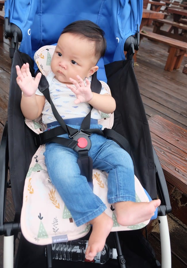 ▌已結團▌夏日涼感好物！韓國 JellySeat 多功能嬰兒涼感UP果凍涼墊X Jelly Pop超涼感果凍嬰幼兒枕