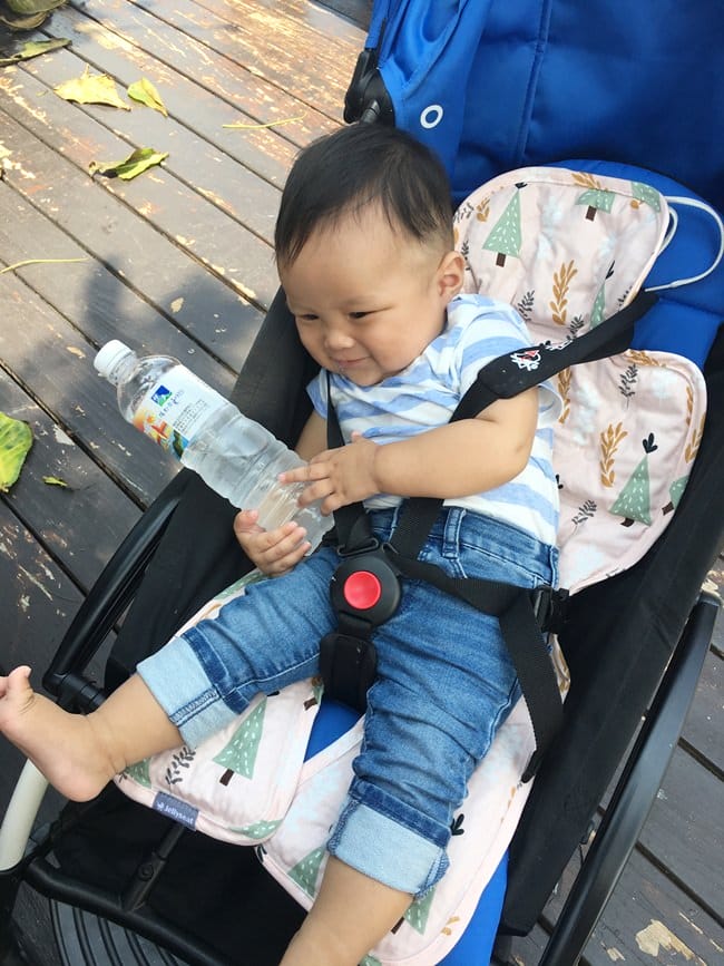 ▌已結團▌夏日涼感好物！韓國 JellySeat 多功能嬰兒涼感UP果凍涼墊X Jelly Pop超涼感果凍嬰幼兒枕