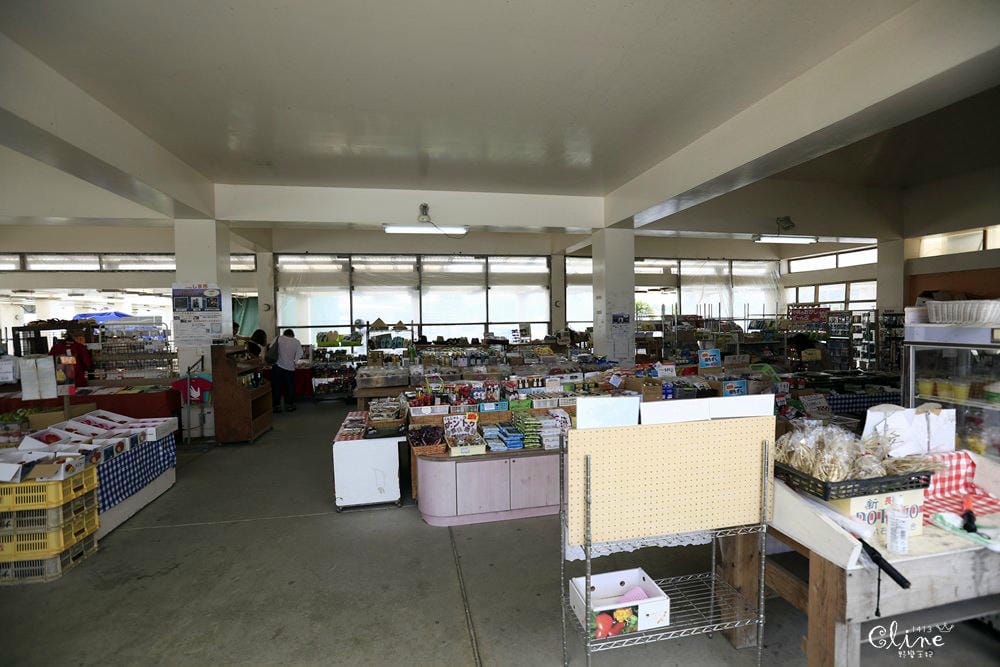 ▌沖繩自由行▌沖繩必訪景點【古宇利島】古宇利大橋無敵海景、必吃蝦蝦飯