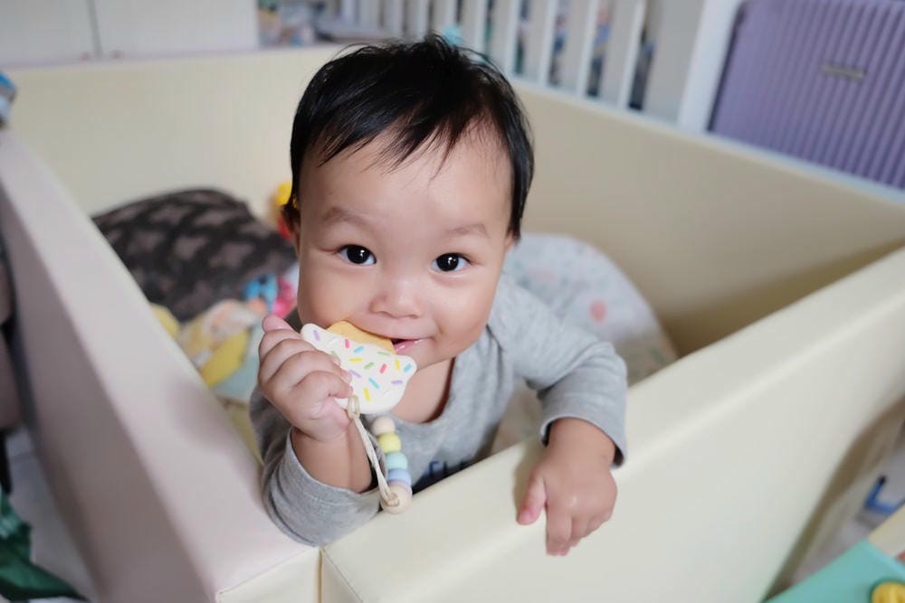 ▌已結團▌寶寶安撫好物【加拿大Loulou Lollipop下午茶固齒器＆美國Nookums安撫奶嘴玩偶】1/18~1/23