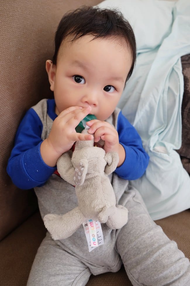 ▌已結團▌寶寶安撫好物【加拿大Loulou Lollipop下午茶固齒器＆美國Nookums安撫奶嘴玩偶】1/18~1/23