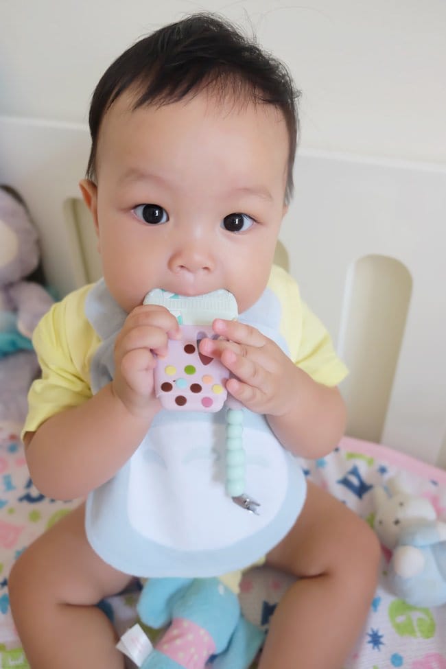 ▌已結團▌寶寶安撫好物【加拿大Loulou Lollipop下午茶固齒器＆美國Nookums安撫奶嘴玩偶】1/18~1/23