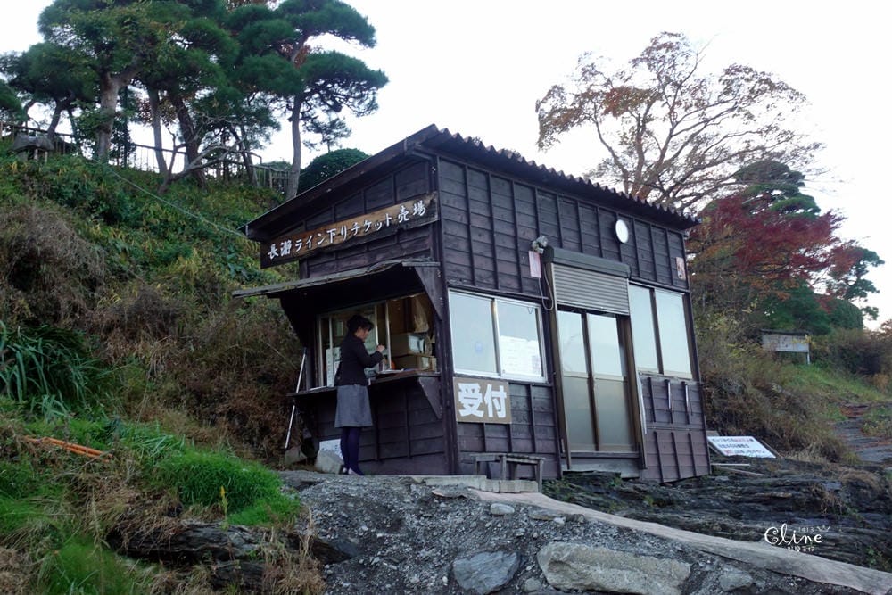 ▌東京賞楓▌東京賞楓銀杏景點【 川越小江戶。冰川神社】包車一日遊