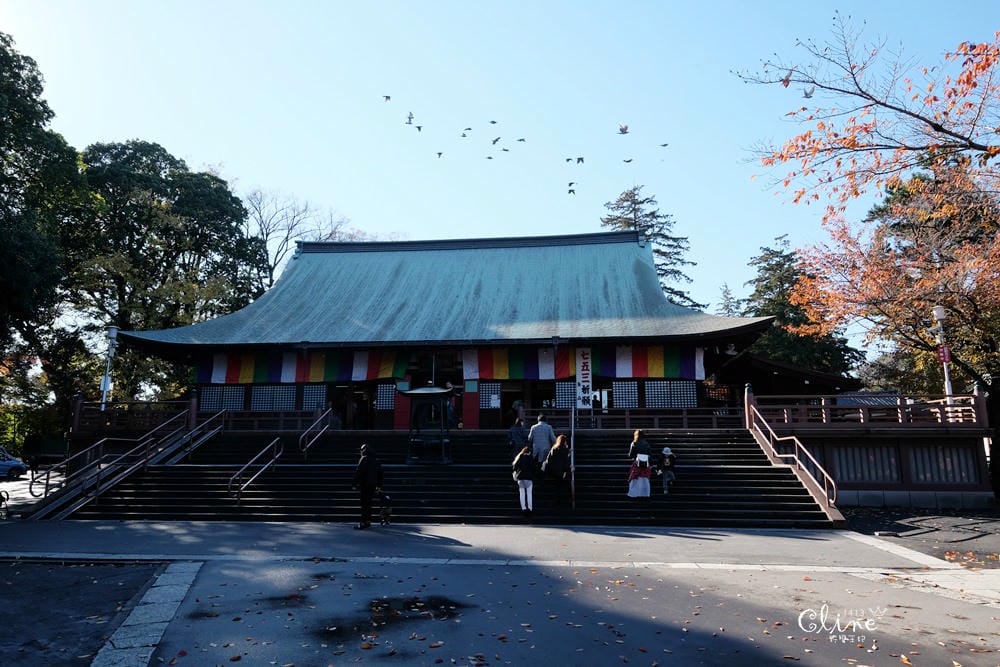 ▌東京賞楓▌東京賞楓銀杏景點【 川越小江戶。冰川神社】包車一日遊