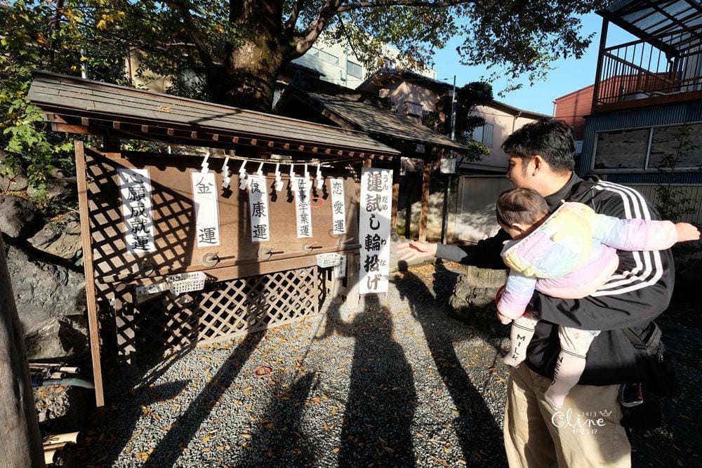 ▌東京賞楓▌東京賞楓銀杏景點【 川越小江戶。冰川神社】包車一日遊