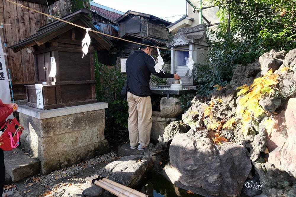 ▌東京賞楓▌東京賞楓銀杏景點【 川越小江戶。冰川神社】包車一日遊