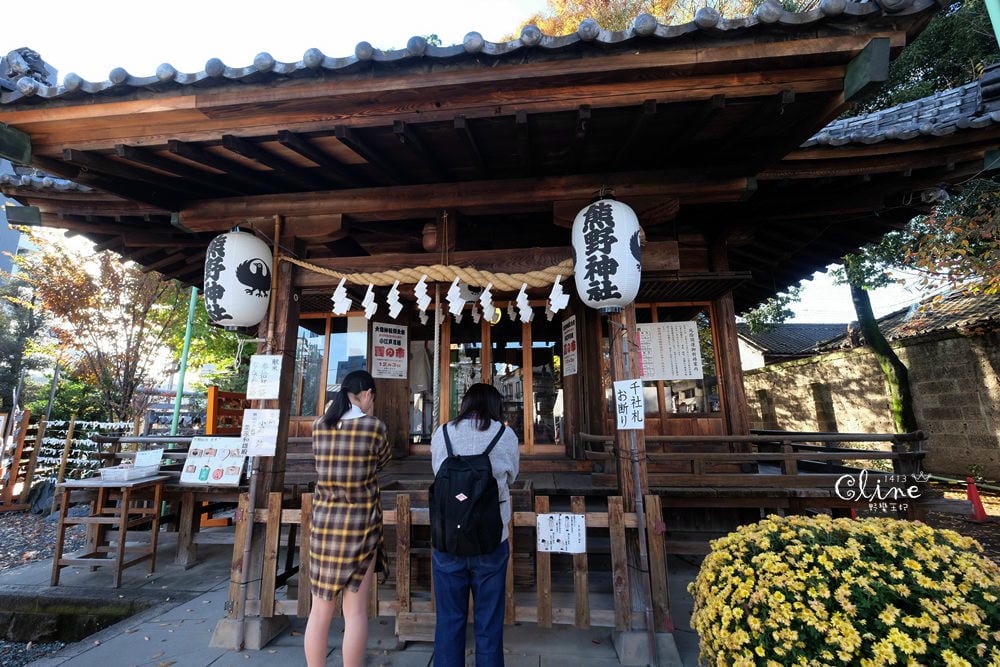 ▌東京賞楓▌東京賞楓銀杏景點【 川越小江戶。冰川神社】包車一日遊