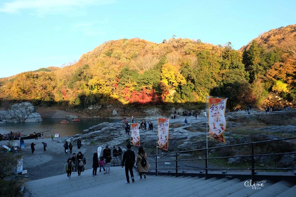 ▌東京賞楓▌東京賞楓銀杏景點【 川越小江戶。冰川神社】包車一日遊