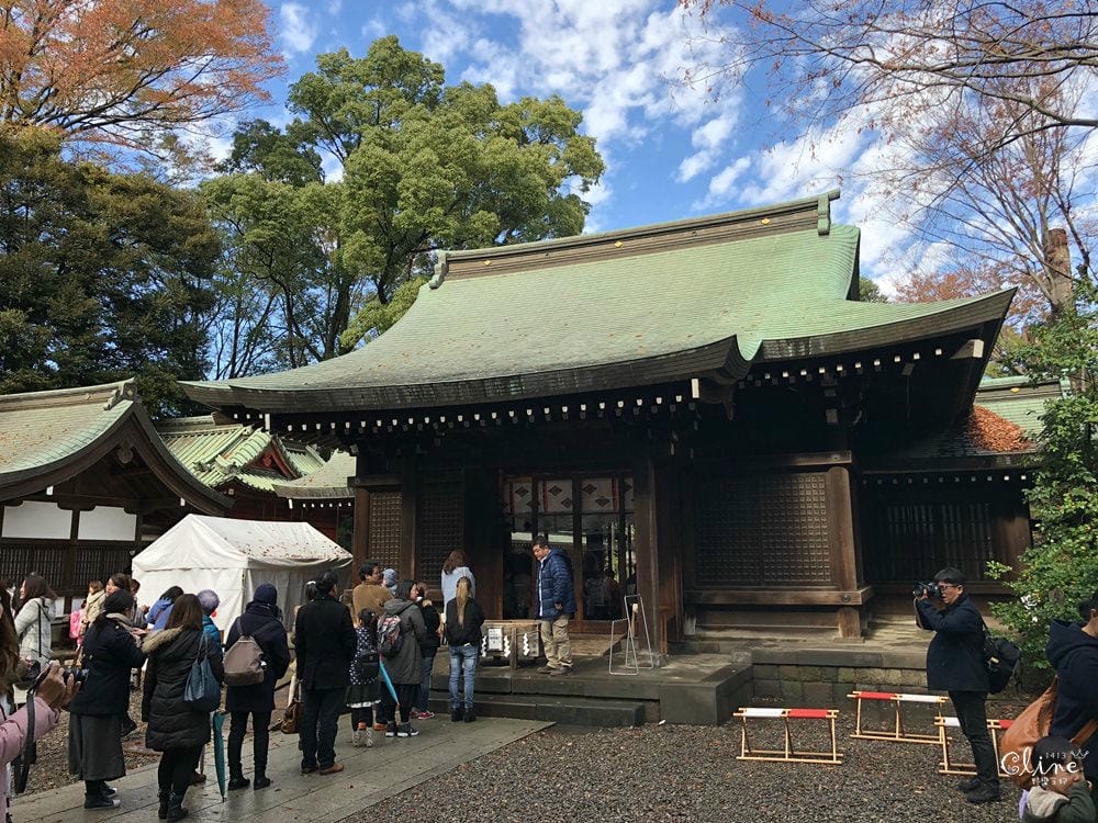 ▌東京賞楓▌東京賞楓銀杏景點【 川越小江戶。冰川神社】包車一日遊