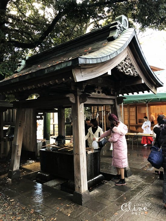 ▌東京賞楓▌東京賞楓銀杏景點【 川越小江戶。冰川神社】包車一日遊