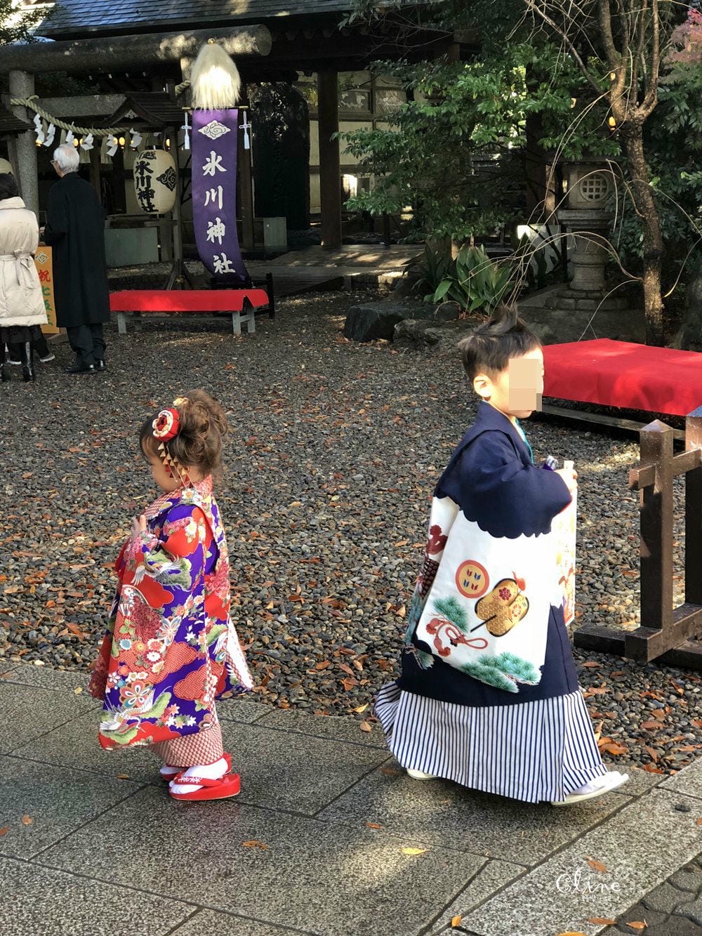 ▌東京賞楓▌東京賞楓銀杏景點【 川越小江戶。冰川神社】包車一日遊