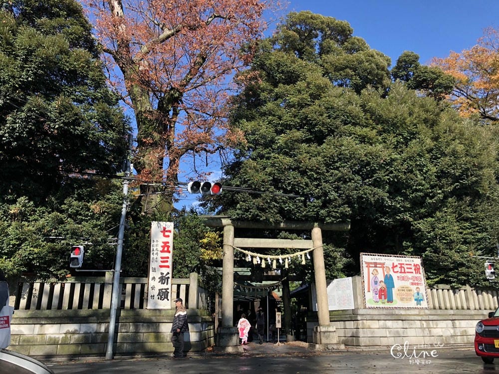 ▌東京賞楓▌東京賞楓銀杏景點【 川越小江戶。冰川神社】包車一日遊