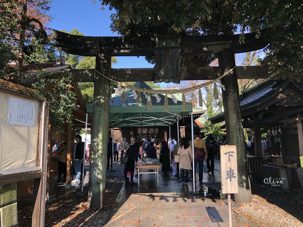 ▌東京賞楓▌東京賞楓銀杏景點【 川越小江戶。冰川神社】包車一日遊