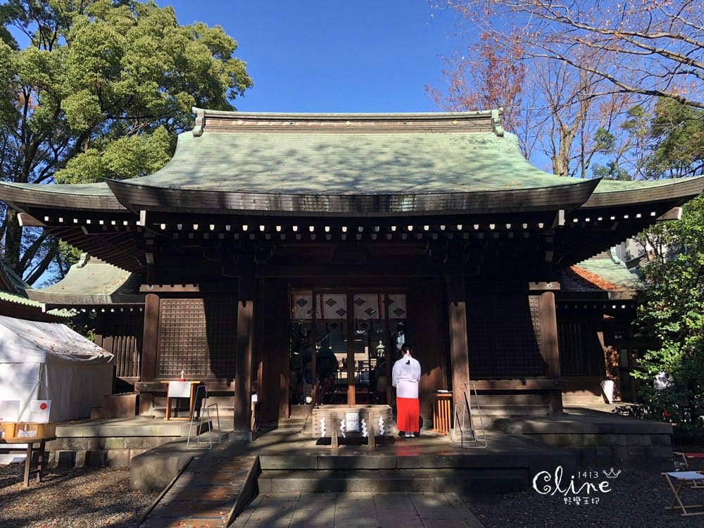 ▌東京賞楓▌東京賞楓銀杏景點【 川越小江戶。冰川神社】包車一日遊