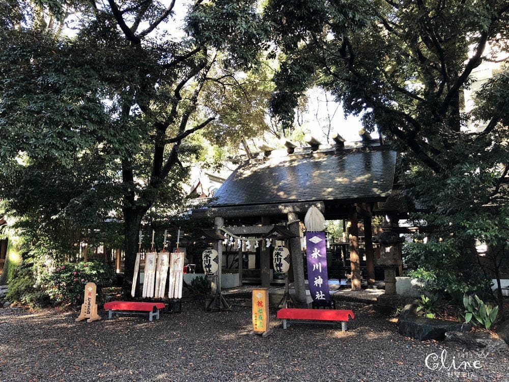 ▌東京賞楓▌東京賞楓銀杏景點【 川越小江戶。冰川神社】包車一日遊
