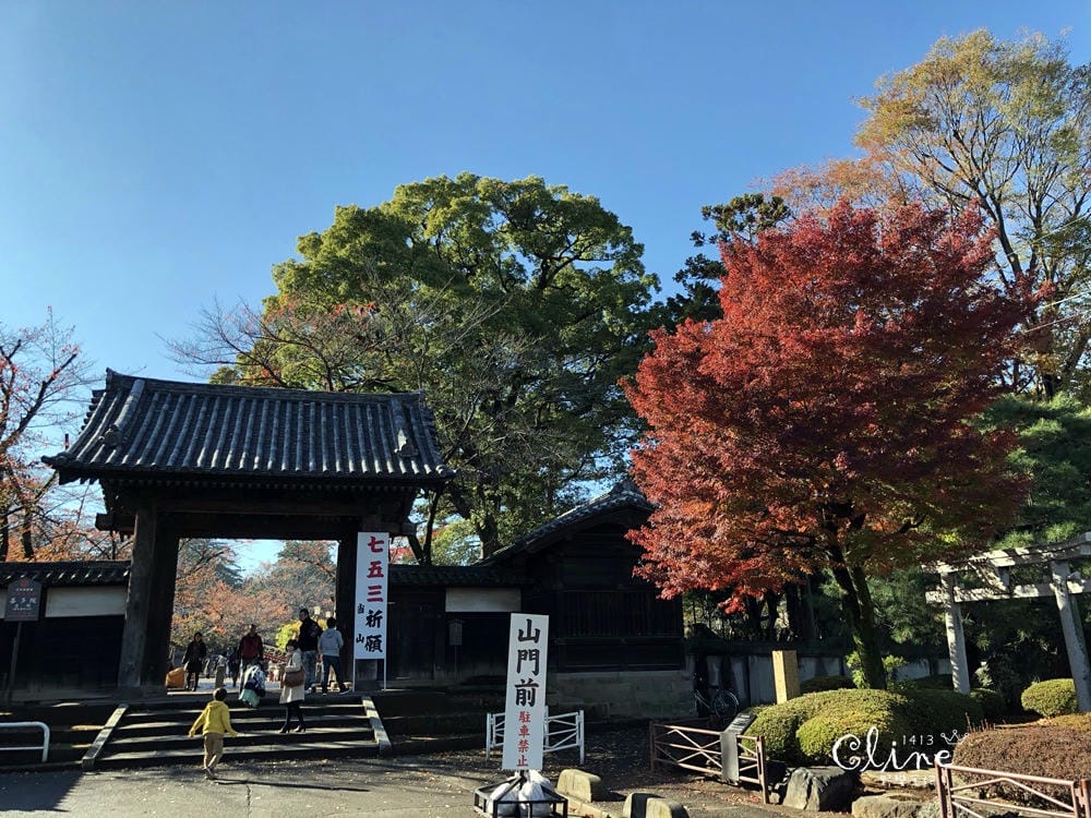 ▌東京賞楓▌東京賞楓銀杏景點【 川越小江戶。冰川神社】包車一日遊