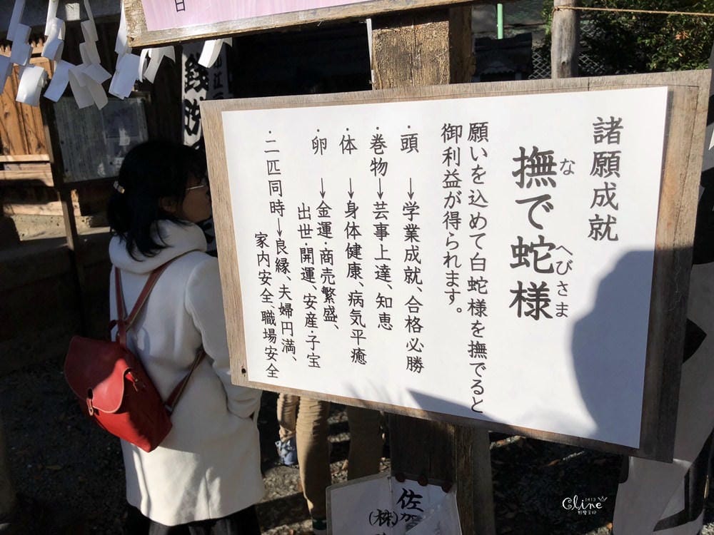▌東京賞楓▌東京賞楓銀杏景點【 川越小江戶。冰川神社】包車一日遊