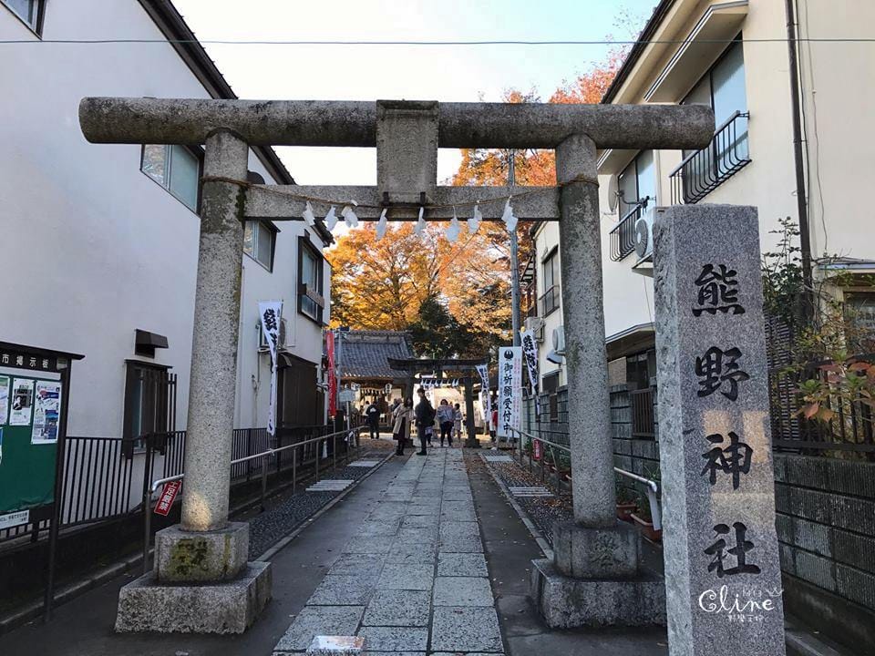 ▌東京賞楓▌東京賞楓銀杏景點【 川越小江戶。冰川神社】包車一日遊