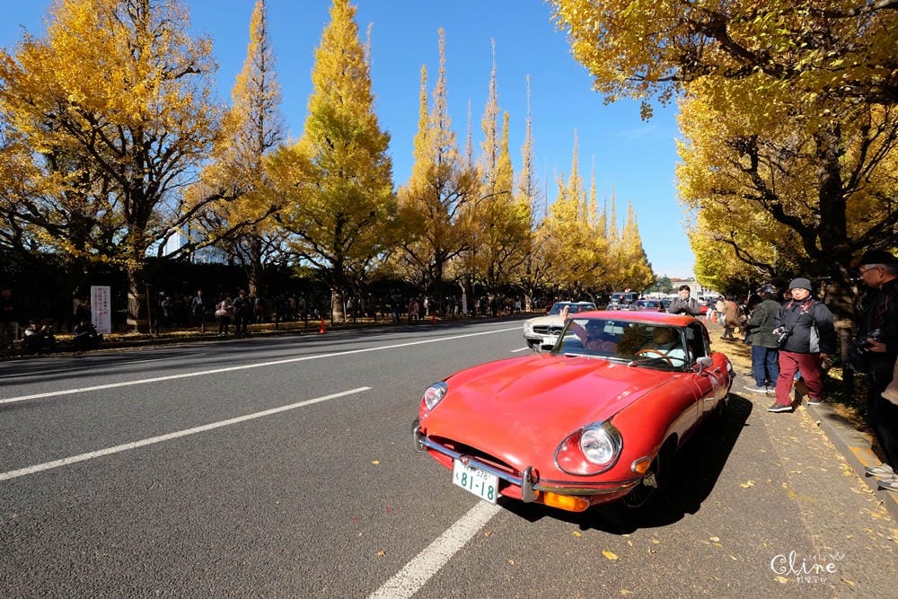 ▌東京銀杏▌東京銀杏必訪景點【神宮外苑、東京大學】東京市區包車一日遊