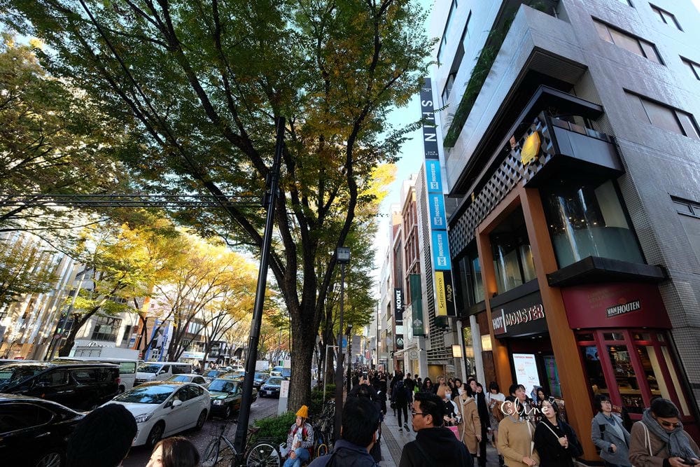 ▌東京銀杏▌東京銀杏必訪景點【神宮外苑、東京大學】東京市區包車一日遊
