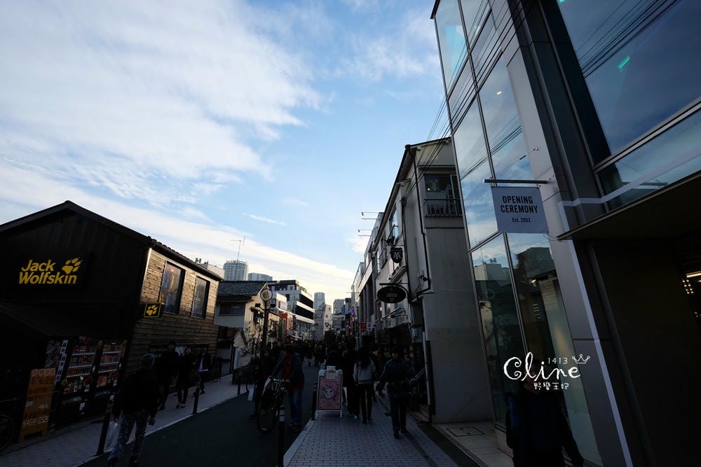 ▌東京銀杏▌東京銀杏必訪景點【神宮外苑、東京大學】東京市區包車一日遊