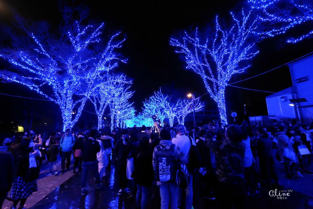 ▌東京銀杏▌東京銀杏必訪景點【神宮外苑、東京大學】東京市區包車一日遊