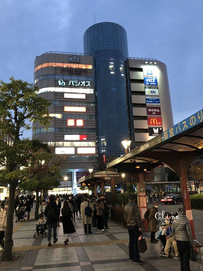 ▌東京銀杏▌東京銀杏必訪景點【神宮外苑、東京大學】東京市區包車一日遊