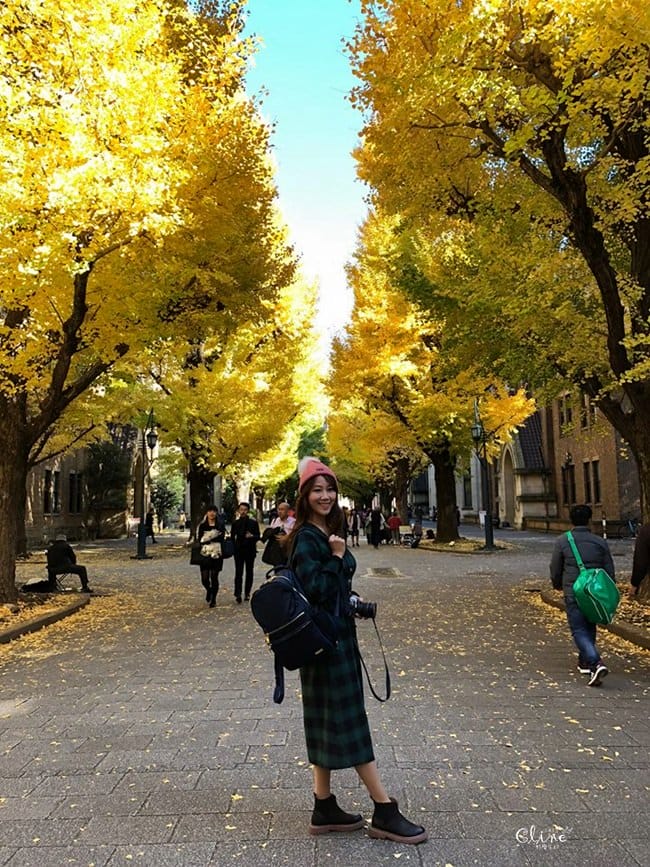 ▌東京銀杏▌東京銀杏必訪景點【神宮外苑、東京大學】東京市區包車一日遊