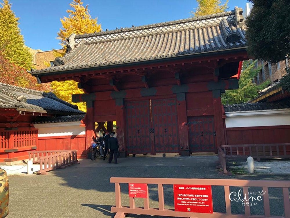 ▌東京銀杏▌東京銀杏必訪景點【神宮外苑、東京大學】東京市區包車一日遊