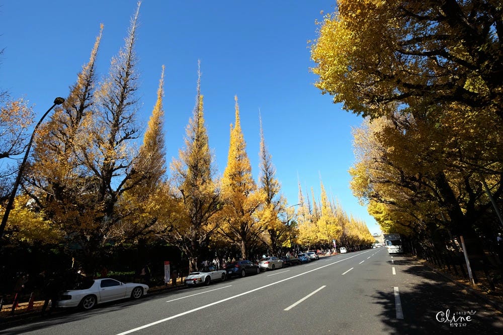 ▌東京銀杏▌東京銀杏必訪景點【神宮外苑、東京大學】東京市區包車一日遊