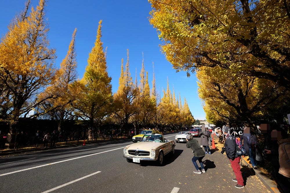 ▌東京銀杏▌東京銀杏必訪景點【神宮外苑、東京大學】東京市區包車一日遊