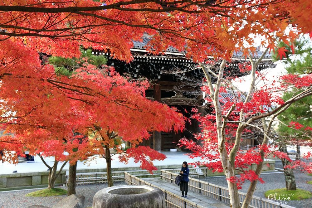 ▌京都賞楓▌京都賞楓景點、賞楓行程【 東福寺、金戒光明寺、一休寺、毘沙門堂、勝林寺】