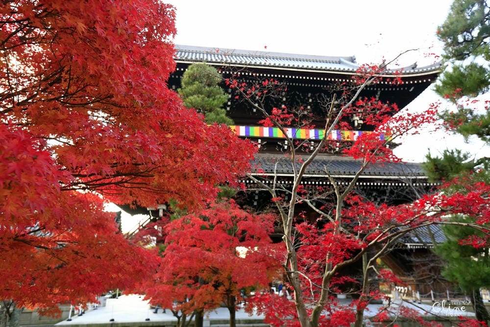 ▌京都賞楓▌京都賞楓景點、賞楓行程【 東福寺、金戒光明寺、一休寺、毘沙門堂、勝林寺】