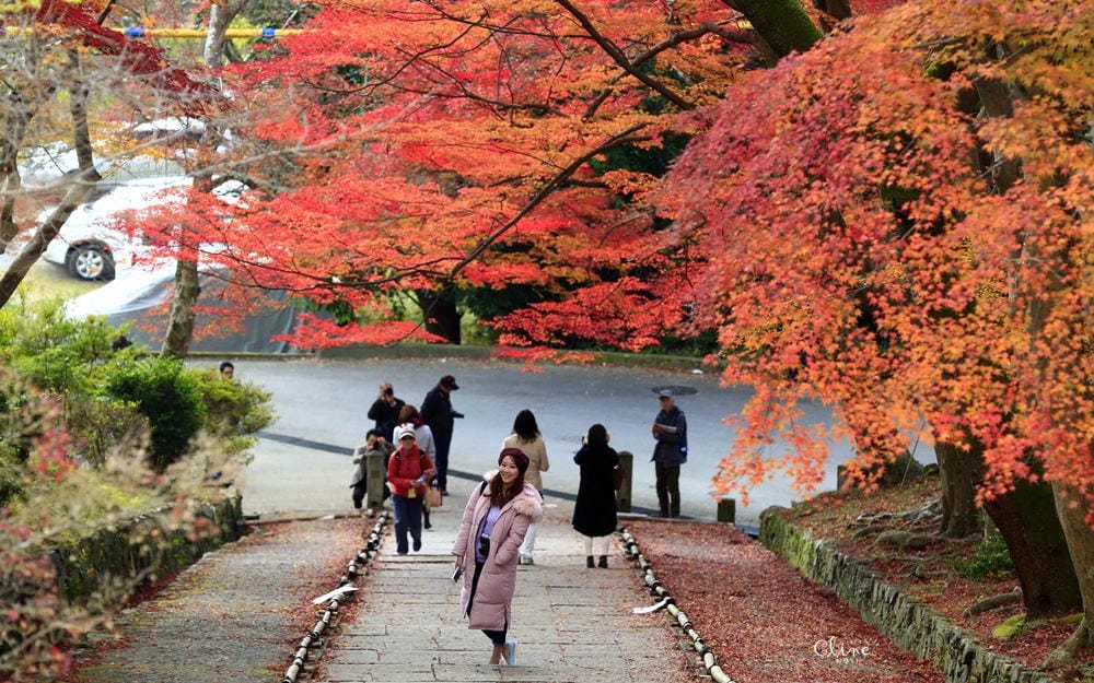 ▌京都賞楓▌京都賞楓景點、賞楓行程【 東福寺、金戒光明寺、一休寺、毘沙門堂、勝林寺】