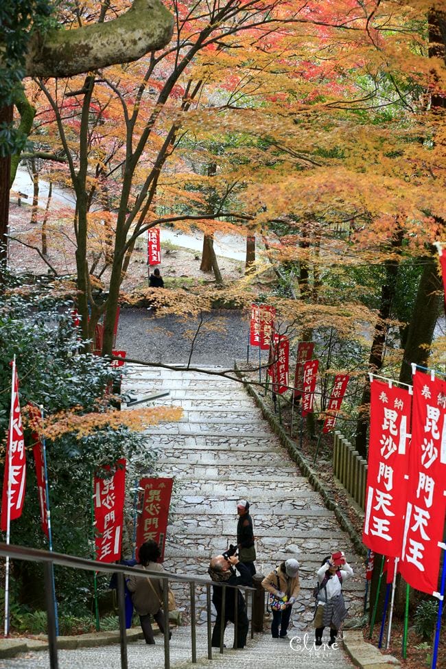 ▌京都賞楓▌京都賞楓景點、賞楓行程【 東福寺、金戒光明寺、一休寺、毘沙門堂、勝林寺】