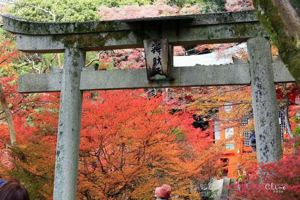 ▌京都賞楓▌京都賞楓景點、賞楓行程【 東福寺、金戒光明寺、一休寺、毘沙門堂、勝林寺】