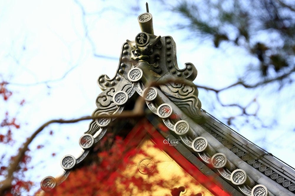 ▌京都賞楓▌京都賞楓景點、賞楓行程【 東福寺、金戒光明寺、一休寺、毘沙門堂、勝林寺】