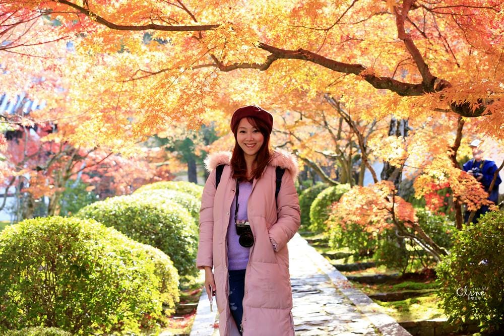 ▌京都賞楓▌京都賞楓景點、賞楓行程【 東福寺、金戒光明寺、一休寺、毘沙門堂、勝林寺】