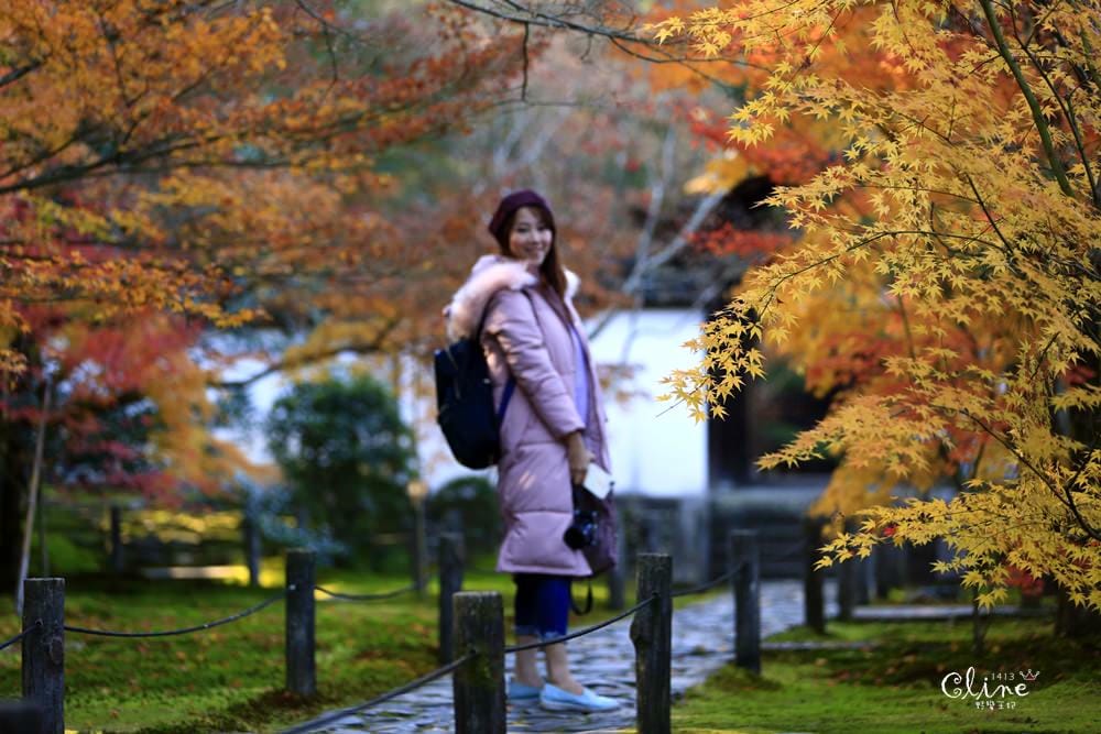 ▌京都賞楓▌京都賞楓景點、賞楓行程【 東福寺、金戒光明寺、一休寺、毘沙門堂、勝林寺】