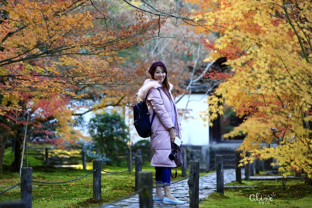 ▌京都賞楓▌京都賞楓景點、賞楓行程【 東福寺、金戒光明寺、一休寺、毘沙門堂、勝林寺】