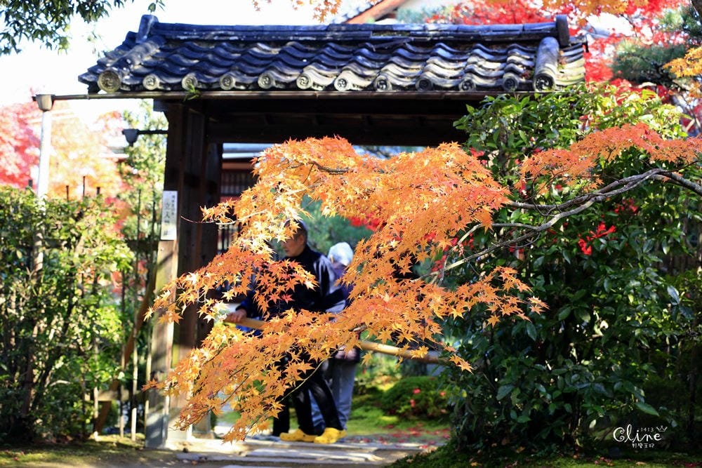 ▌京都賞楓▌京都賞楓景點、賞楓行程【 東福寺、金戒光明寺、一休寺、毘沙門堂、勝林寺】