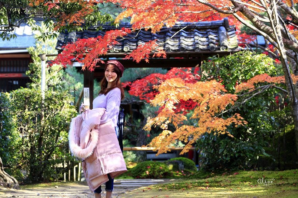 ▌京都賞楓▌京都賞楓景點、賞楓行程【 東福寺、金戒光明寺、一休寺、毘沙門堂、勝林寺】