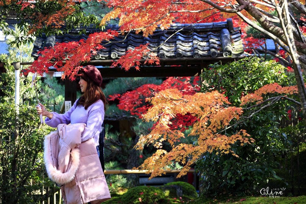 ▌京都賞楓▌京都賞楓景點、賞楓行程【 東福寺、金戒光明寺、一休寺、毘沙門堂、勝林寺】