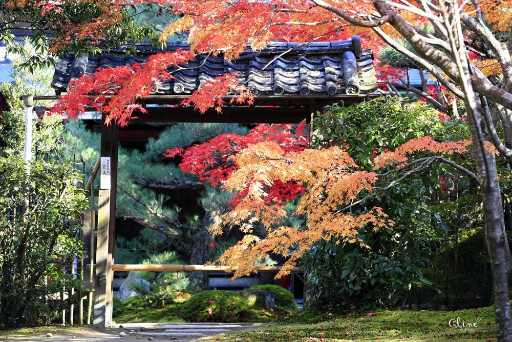 ▌京都賞楓▌京都賞楓景點、賞楓行程【 東福寺、金戒光明寺、一休寺、毘沙門堂、勝林寺】