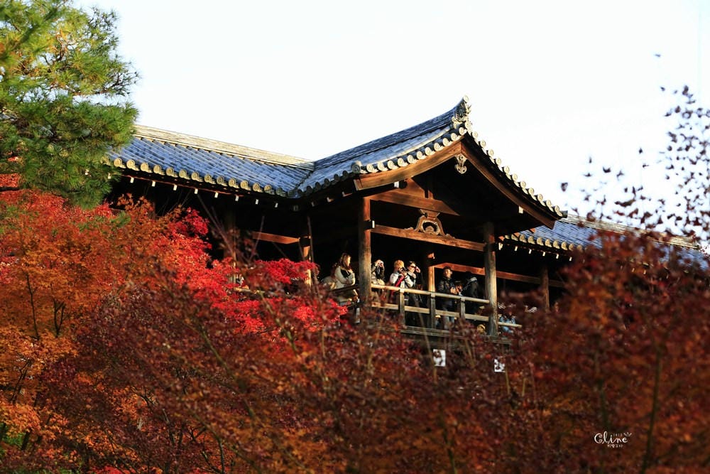 ▌京都賞楓▌京都賞楓景點、賞楓行程【 東福寺、金戒光明寺、一休寺、毘沙門堂、勝林寺】