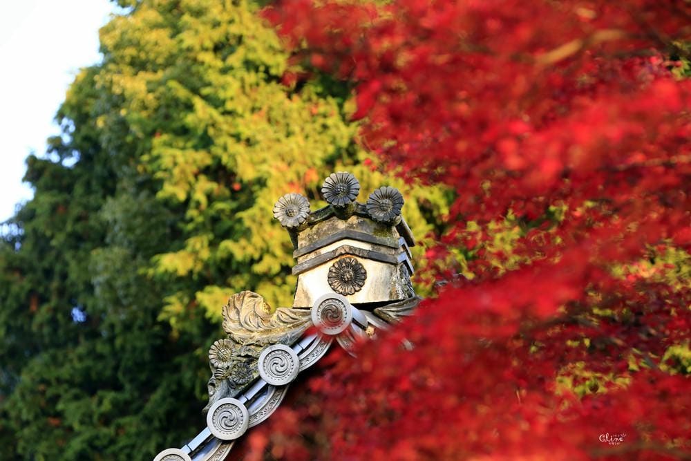 ▌京都賞楓▌京都賞楓景點、賞楓行程【 東福寺、金戒光明寺、一休寺、毘沙門堂、勝林寺】