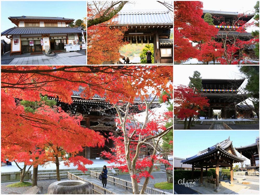 ▌京都賞楓▌京都賞楓景點、賞楓行程【 東福寺、金戒光明寺、一休寺、毘沙門堂、勝林寺】